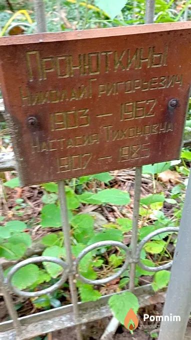 Пронюткин Николай Григорьевич