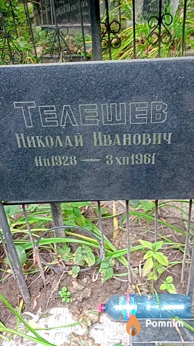 Телешев Николай Иванович