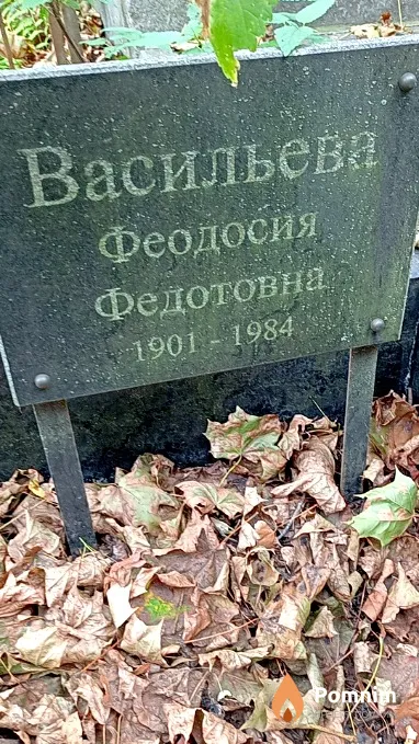 Васильева Феодосия Федотовна