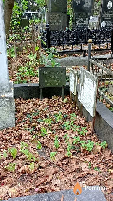 Васильев Владимир Степанович