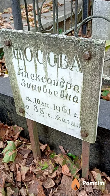 Носова Александра Зиновьевна