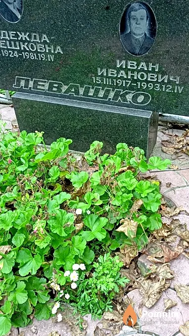 Левашко Иван Иванович