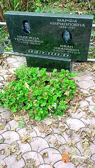 Левашко Надежда Терешковна