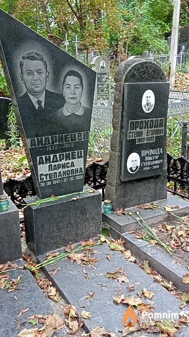 Андриец В Ю