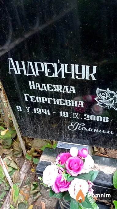 Андрейчук Надежда Георгиевна
