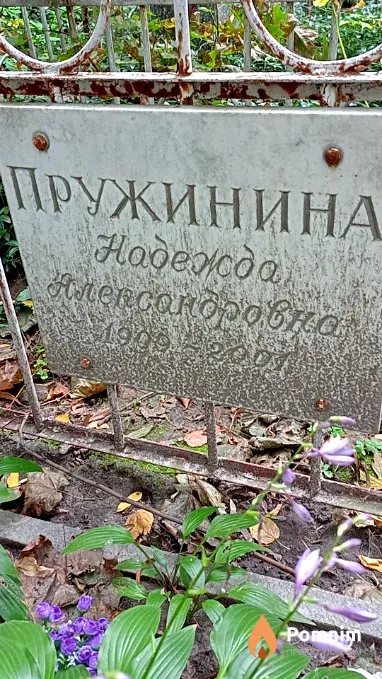 Пружинина Надежда Александровна