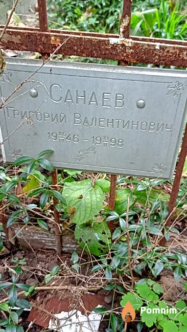Санаев Григорий Валентинович