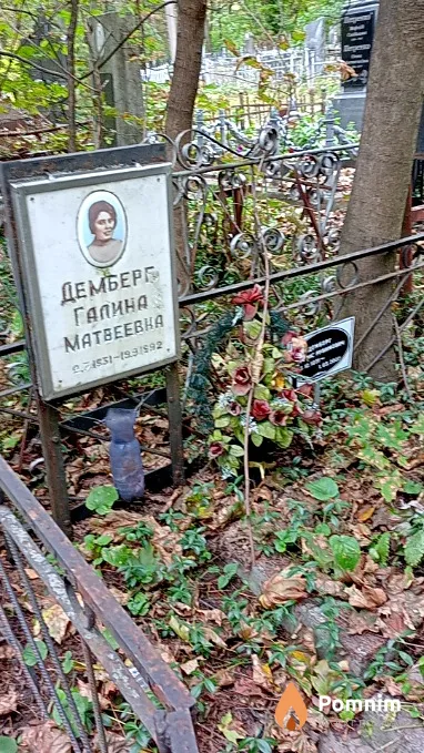 Демберг Галина Матвеевна