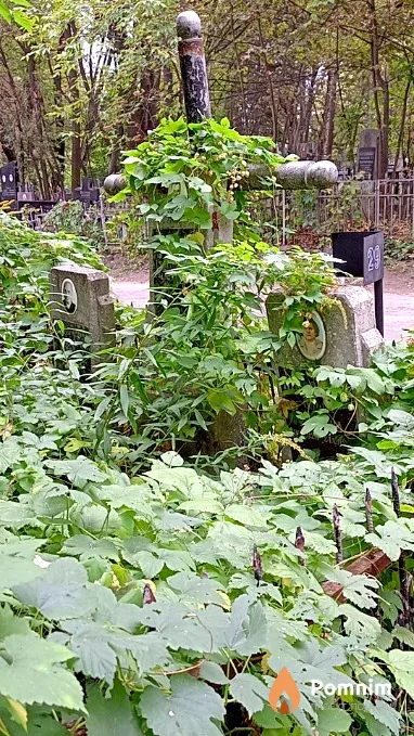 Щелочева Ольга Львовна