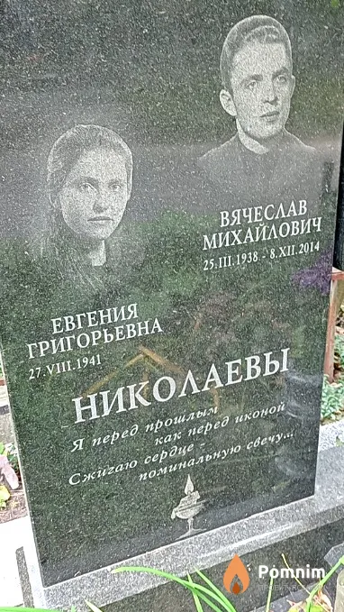 Николаев Вячеслав Михайлович