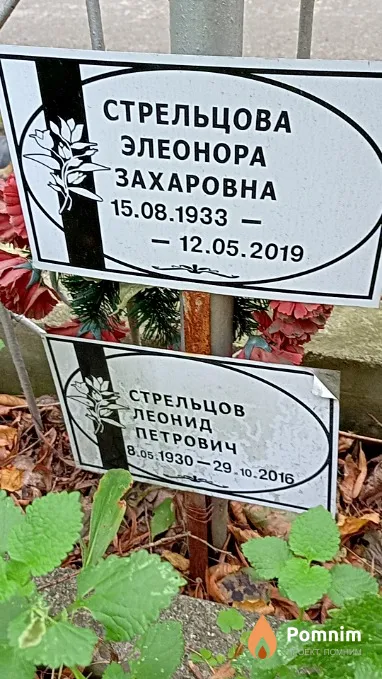 Стрельцова Элеонора Захаровна
