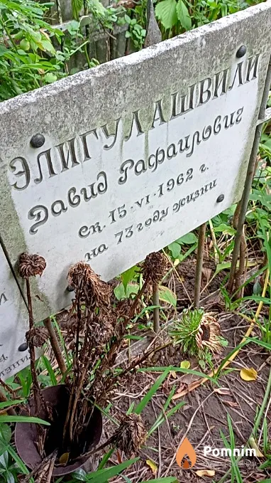 Элигулашвили Давид Рафаилович