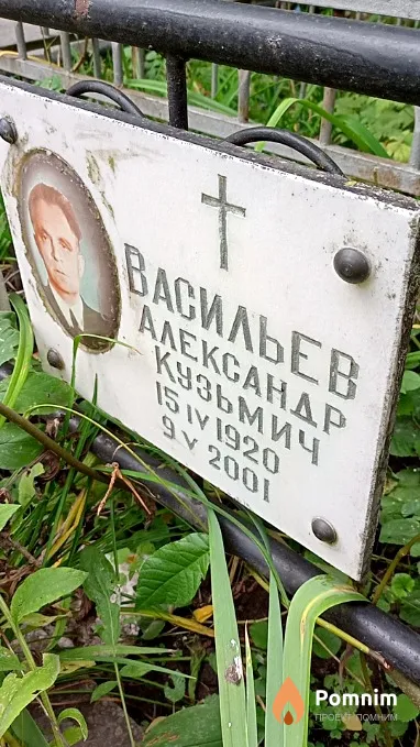 Васильев Александр Кузьмич