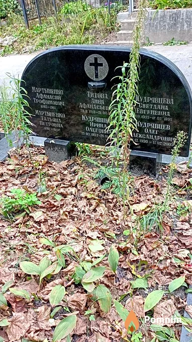 Кудрявцева Светлана Евгеневна
