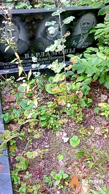Варламов Вячеслав Петрович