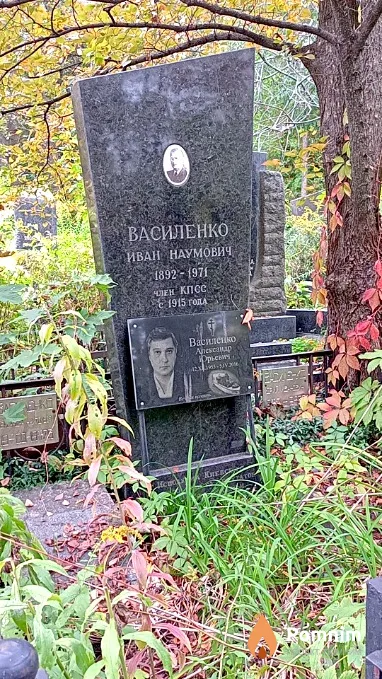 Василенко Александра Анатольевна