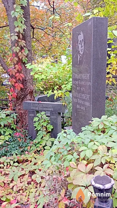Голденберг Юрий Иосифович