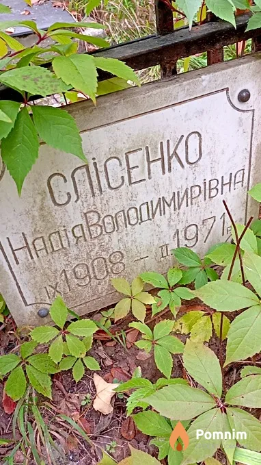 Слісенко Надія Володимирівна
