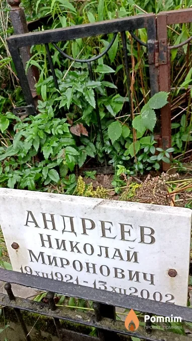 Андреев Николай Миронович