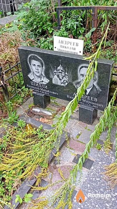 Шилли Анатолий Михайлович