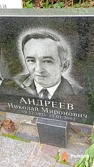 Андреев Николай Миронович