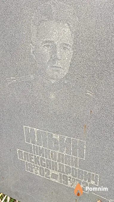 Ильин Николай Александрович