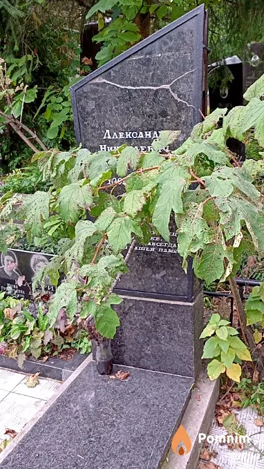 Шатерин Александр Николаевич