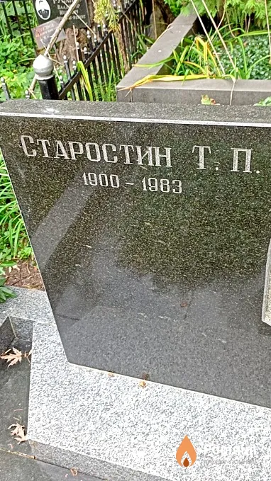 Старостин Т П