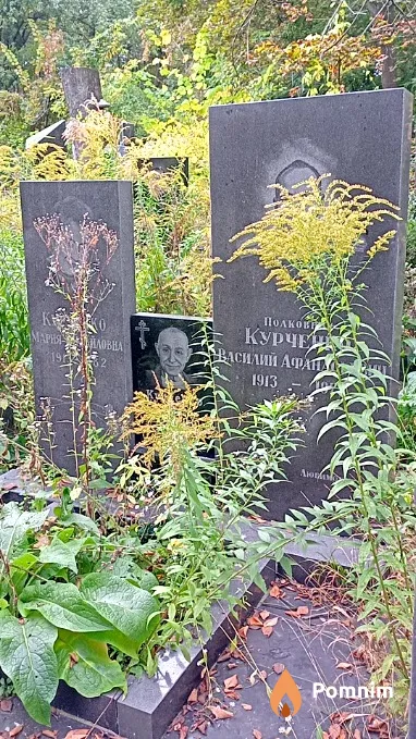 Курченко Мария Михайловна
