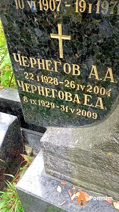 Чернегов А А