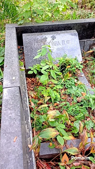Чернегова В Ф