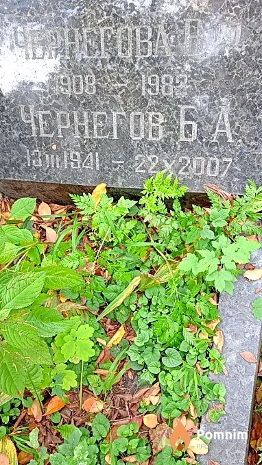 Чернегов Б А