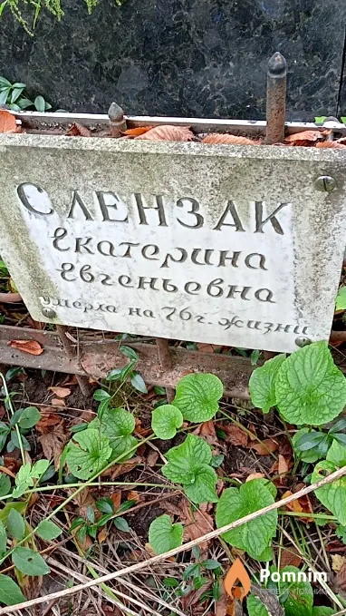 Слензак Екатерина Евгеньевна
