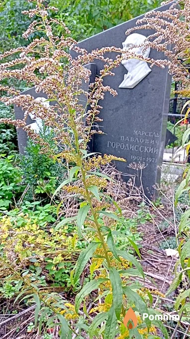Городисский Марсель Павлович