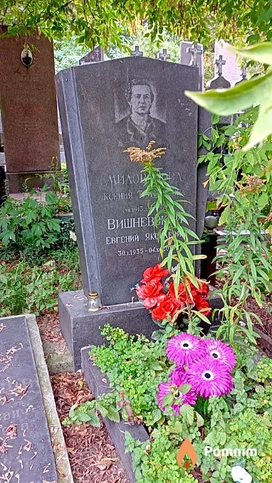 Вишневский Евгений Яковлевич