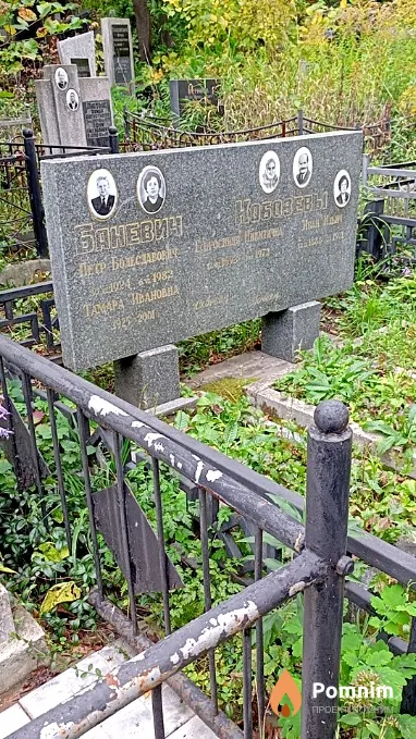 Баневич Петр Болеславович