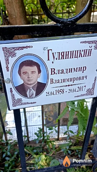 Гуляницкий Владимир Владимирович