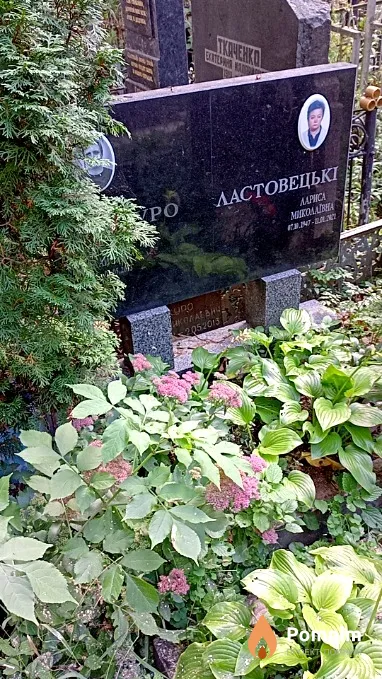 Ластовецька Лариса Миколаївна