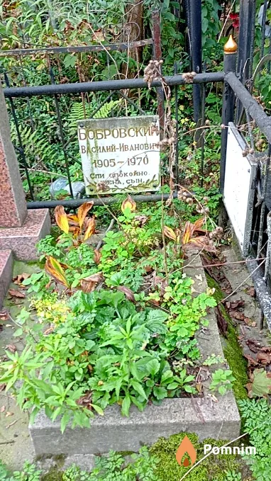 Бобровский Василий Иванович
