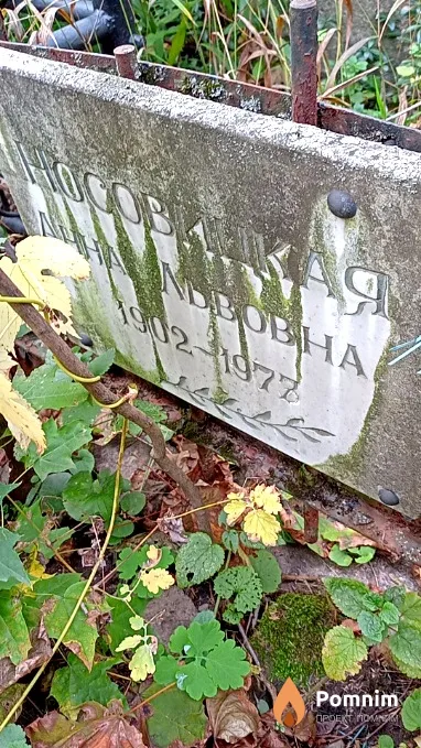 Носовицкая Анна Львовна