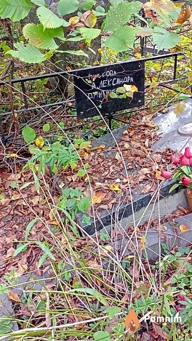 Пучкова Александра Дмитриевна