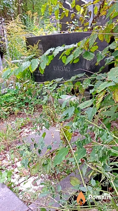Базас Павел Иванович