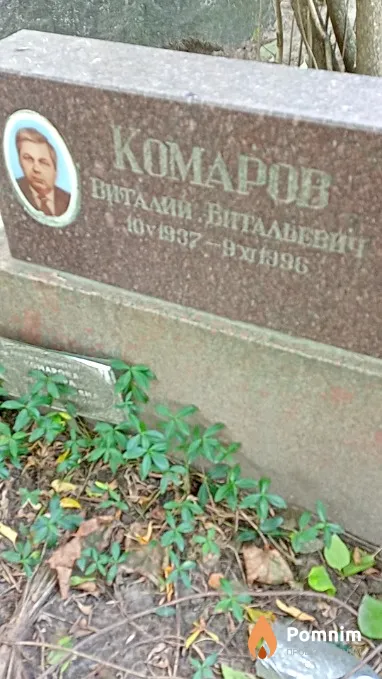 Комаров Виталий Витальевич