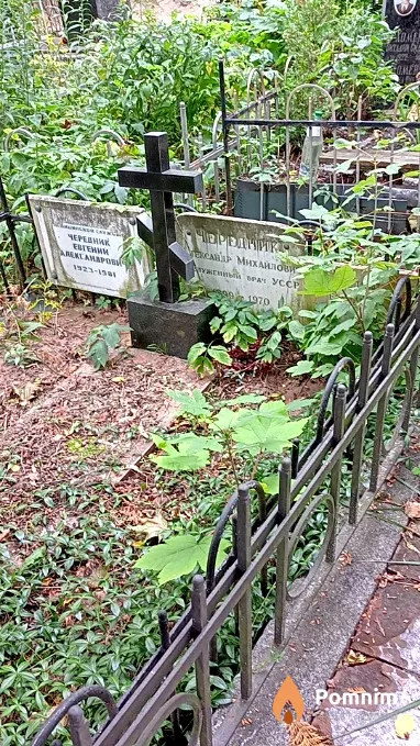 Чередник Елизавета Сильвестровна