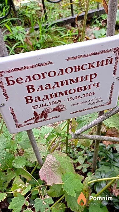 Белоголовский Владимир Вадимович