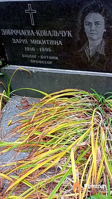 Доброчаєва-Ковальчук Дарія Микитівна