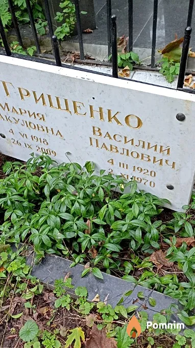 Грищенко Василий Павлович