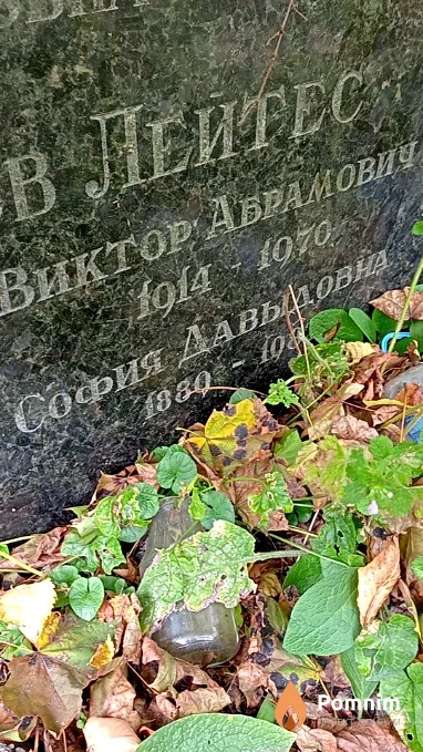 Лейтес София Давыдовна