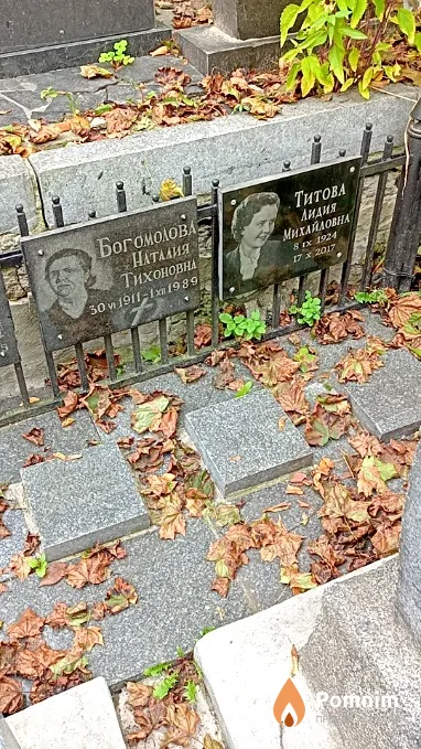 Богомолова Наталия Тихоновна