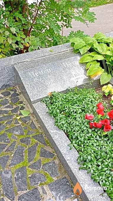 Петрова Екатерина Ивановна